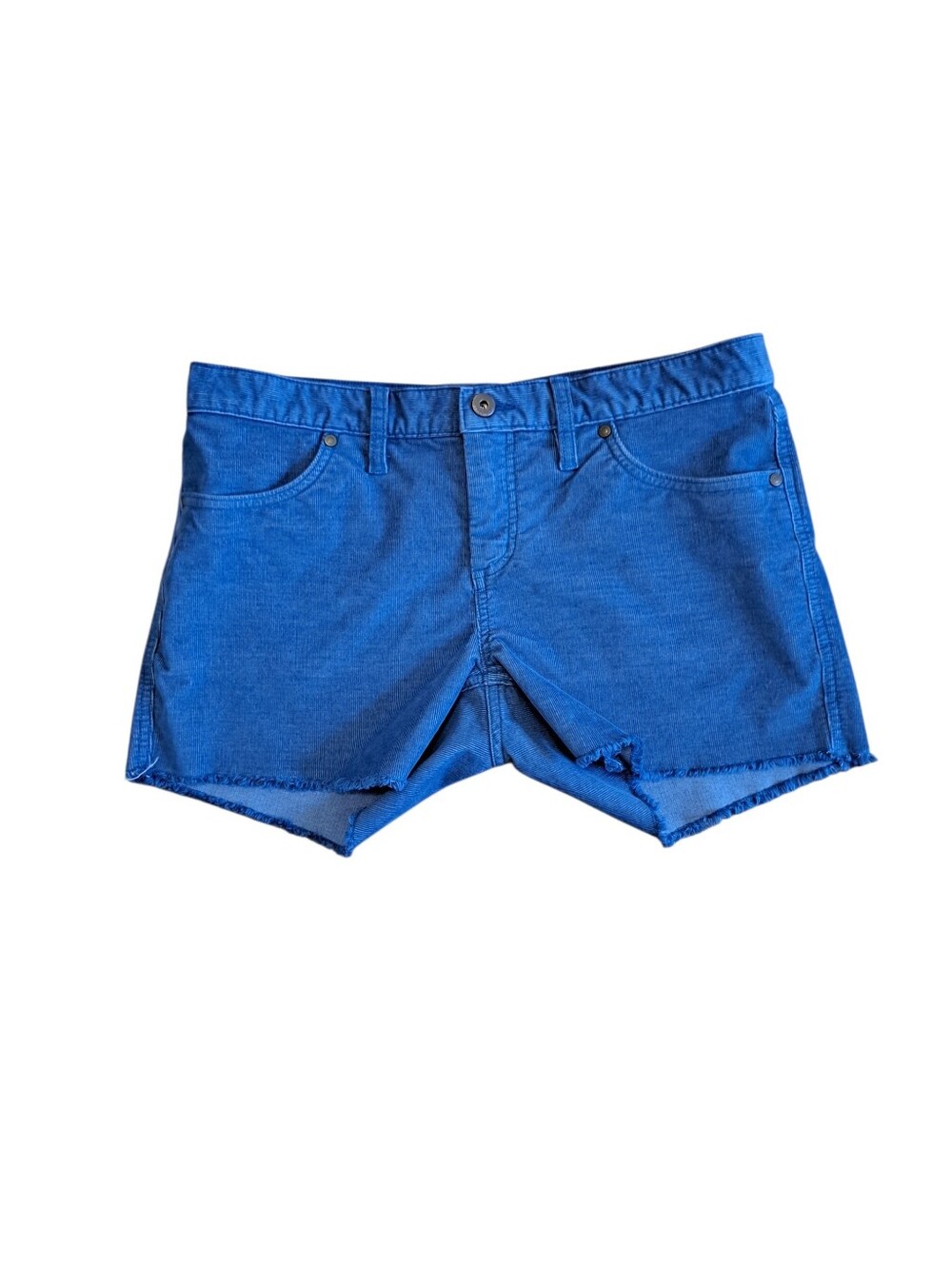 Carve Designs Blue Corduroy Shorts Size 6